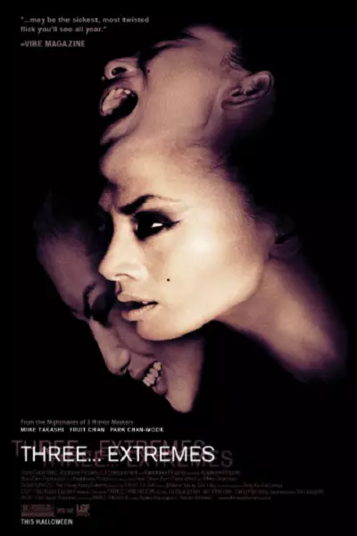 فیلم ترسناک سه… بی‌نهایت 2004