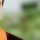 پایتخت 7