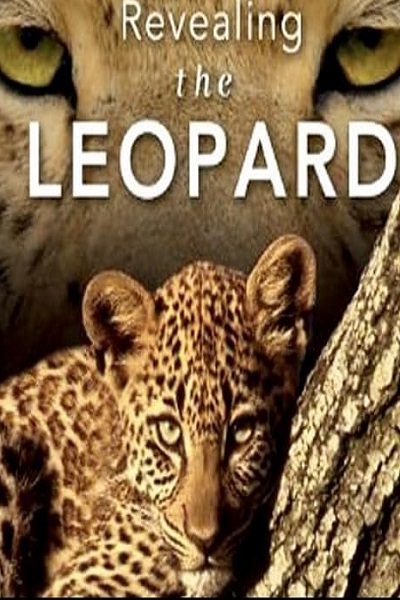 مستند فاش کردن دنیای پلنگ ها 2010