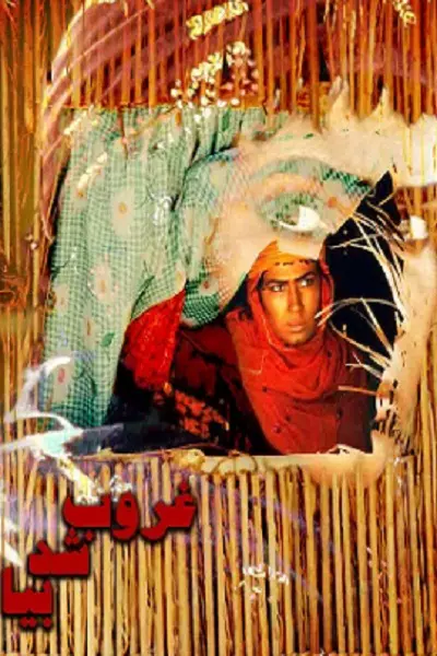 فیلم غروب شد بیا