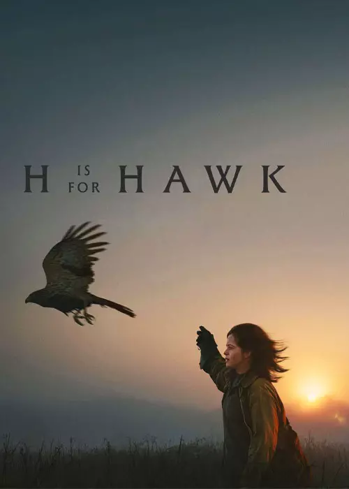 فیلم ش مثل شاهین 2025