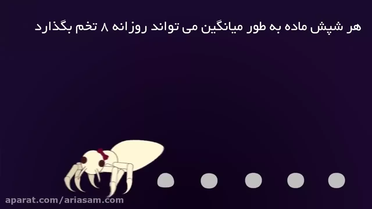 ریشه کن کردن شپش و تخم شپش با شامپو خارجی دی فنوترین