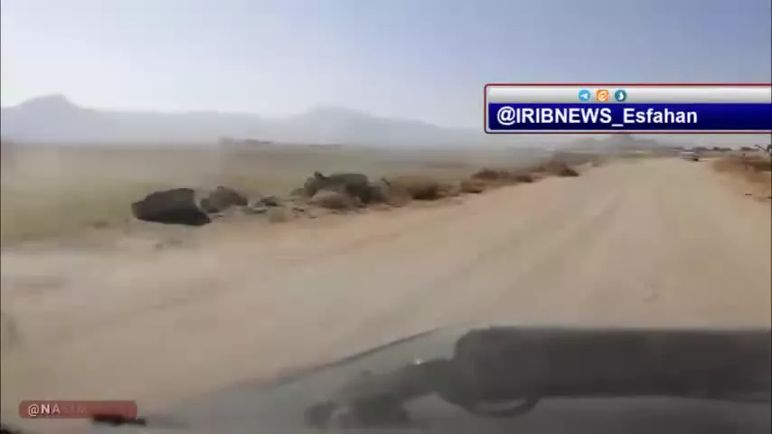 احتکار پیاز در حاشیه یک جاده روستایی