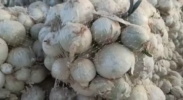 دپوی میلیون‌ ها کیلو پیاز