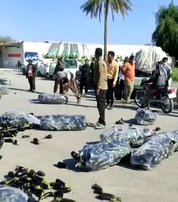 اعتراض متفاوت کشاورزان رودان هرمزگان