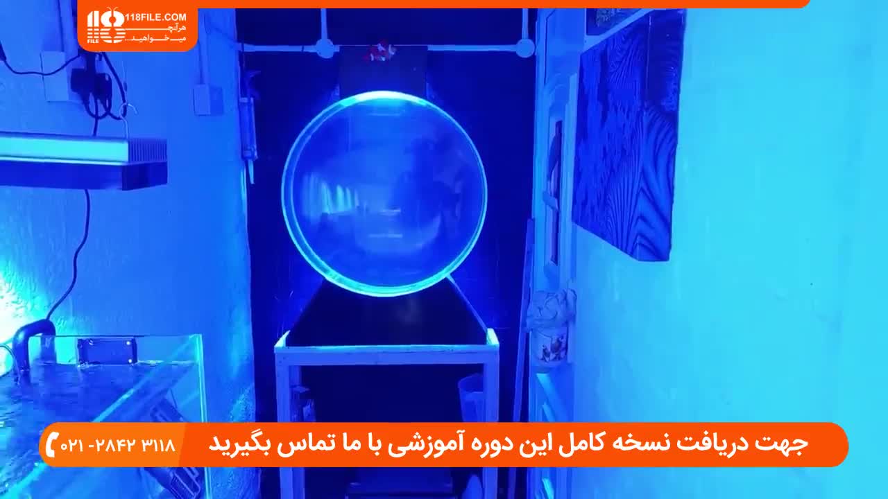 اهمیت نوردهی و تجهیزات در نگهداری از مرجان در آکواریوم