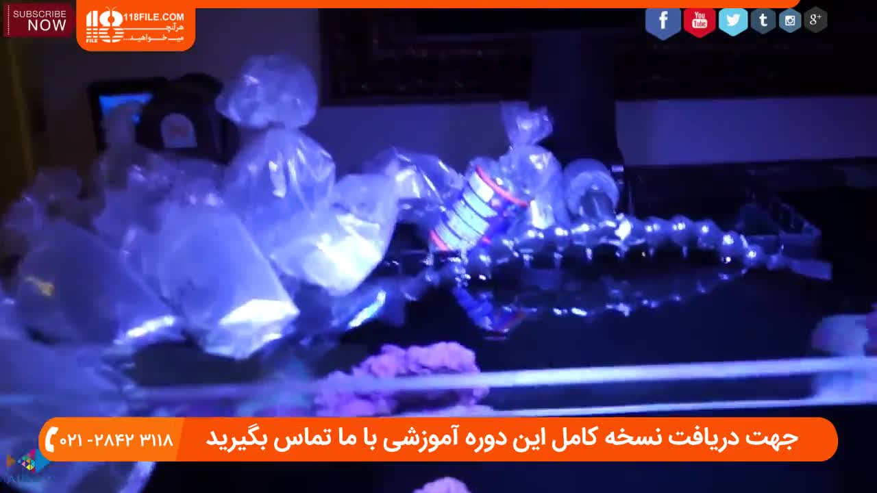 آموزش راه اندازی آکواریوم آب شور مرجانی