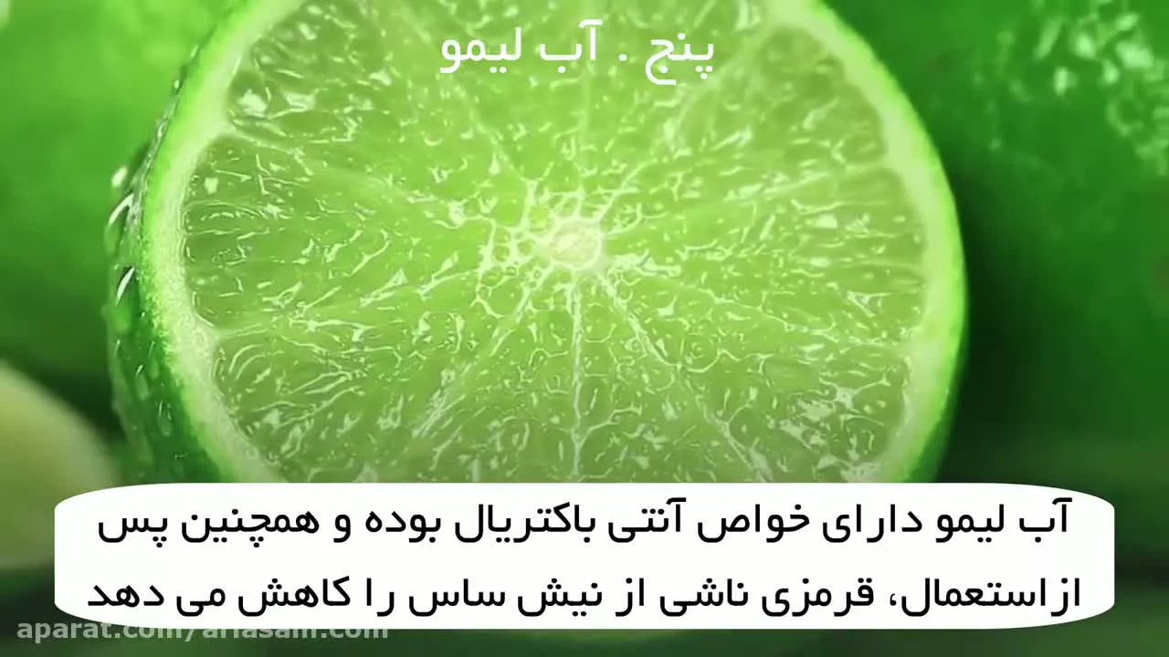 آیا ساس ها بیماری زا هستند؟ | سم قوی برای نابودی ساس و تخم ساس