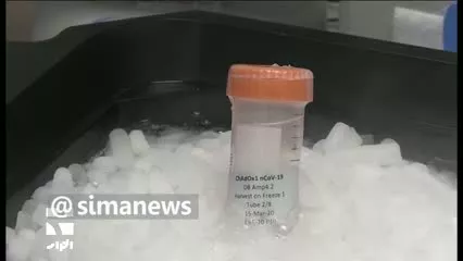 دسترسی به واکسن کووید ۱۹ تا اواسط مرداد