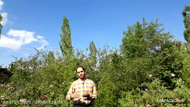 هستی و کائنات