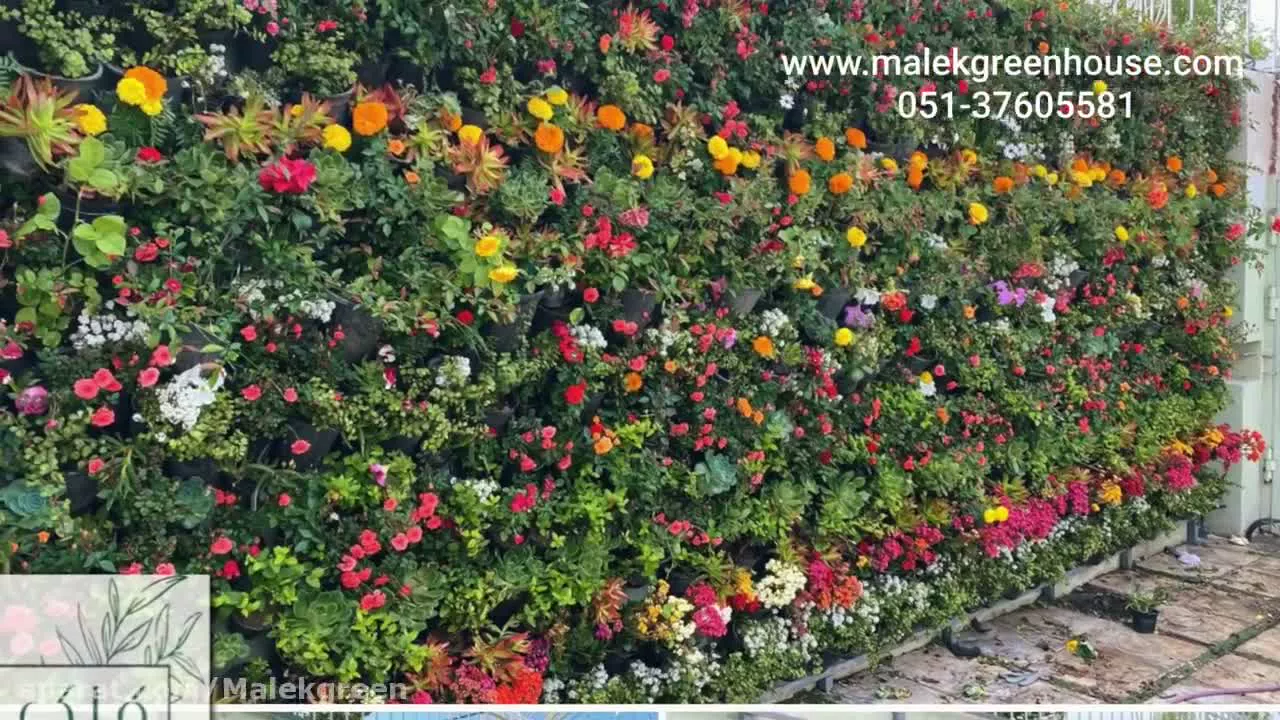 دیوار سبز
