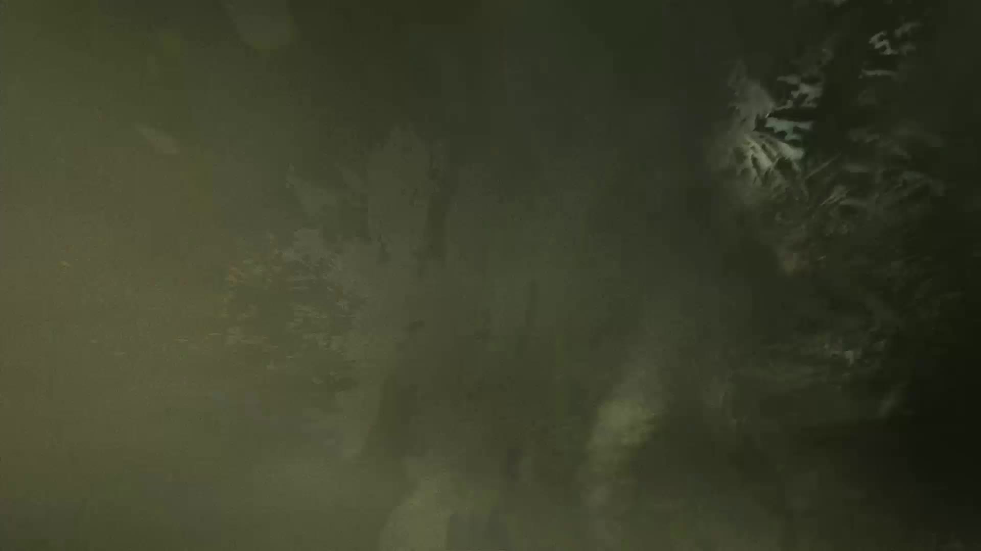 لوگو موشن زمستانی