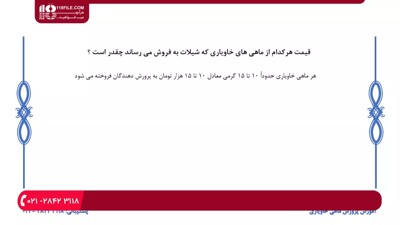 شرایط و محیط مناسب برای نگهداری ماهیان خاویاری