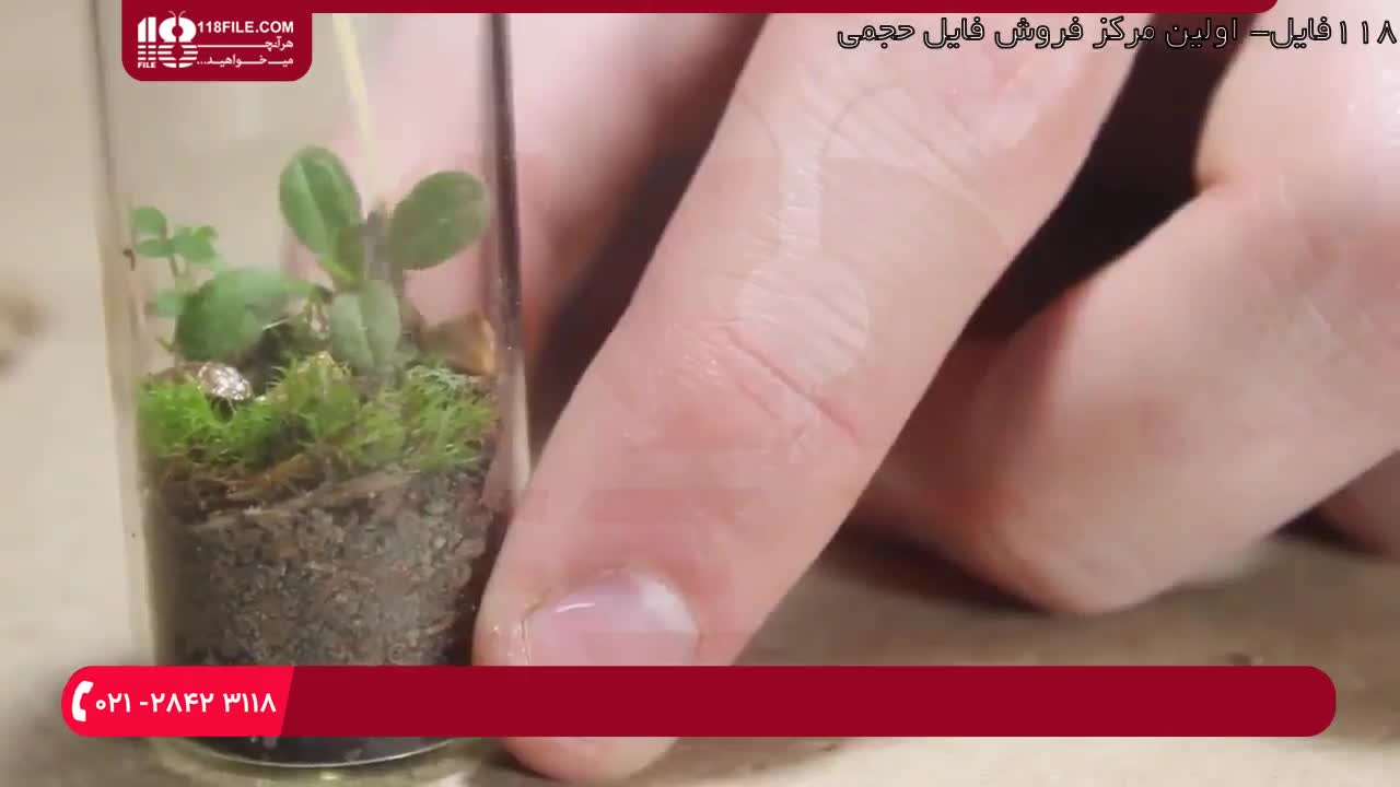آموزش تراریوم - ساخت تراریوم کوچک بومی