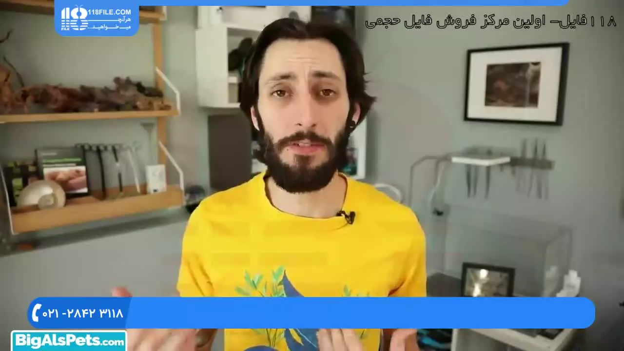 آموزش آکواریوم گیاهی - انتخاب مواد کف آکواریوم