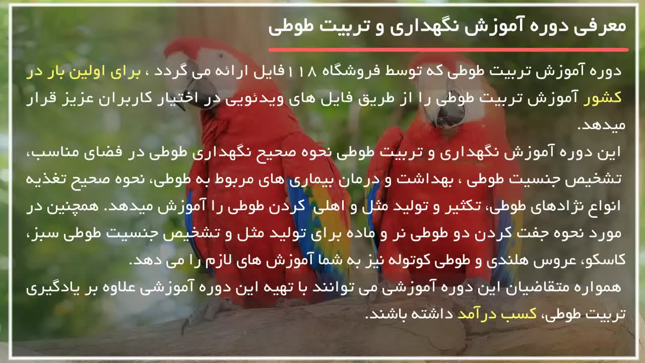 آموزش تربیت طوطی - چه غذاهایی برا طوطی شما مفید است