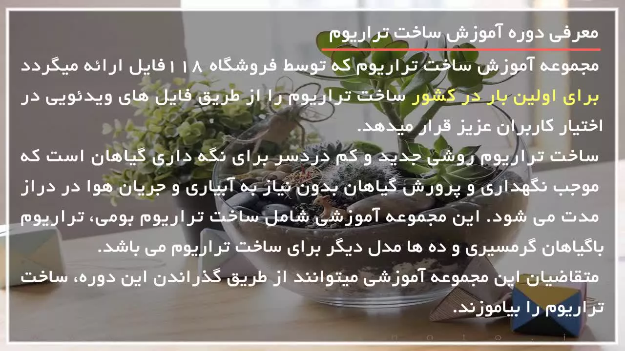 آموزش تراریوم - نحوه ساخت تراریوم فانتزی