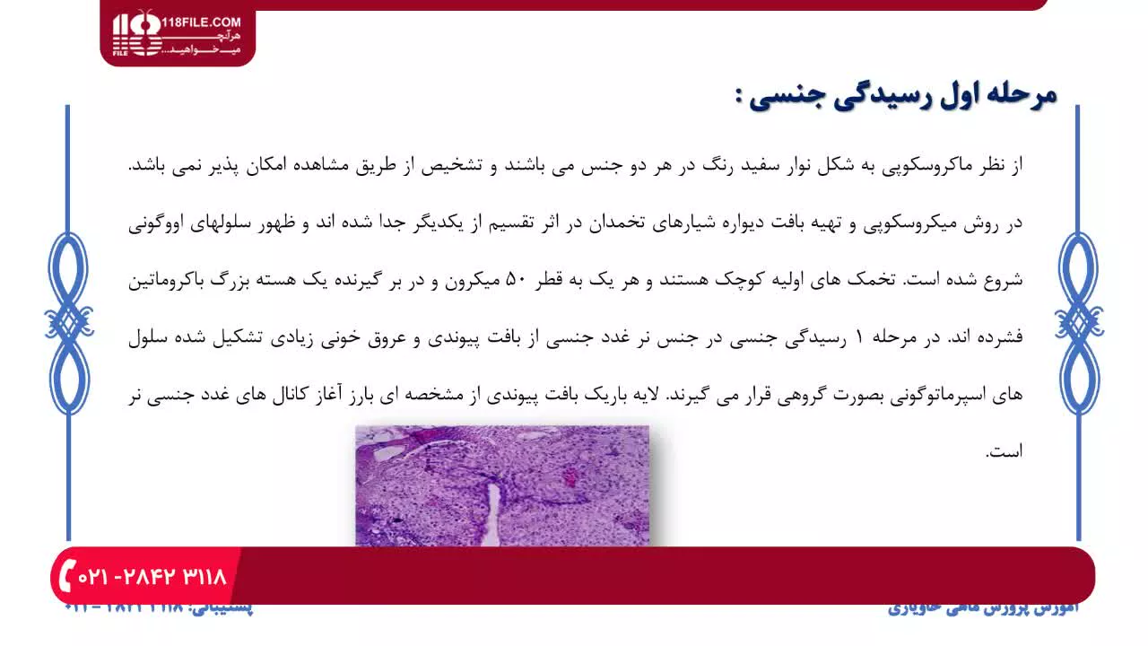 فراهم نمودن شرایط لازم برای پرورش ماهی خاویار در استخر