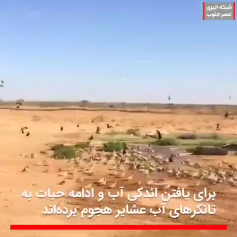 هورالعظیم تشنه است ، خشکسالی در خوزستان