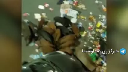 قابی غم انگیز از گرازهای گرسنه در ایتالیا