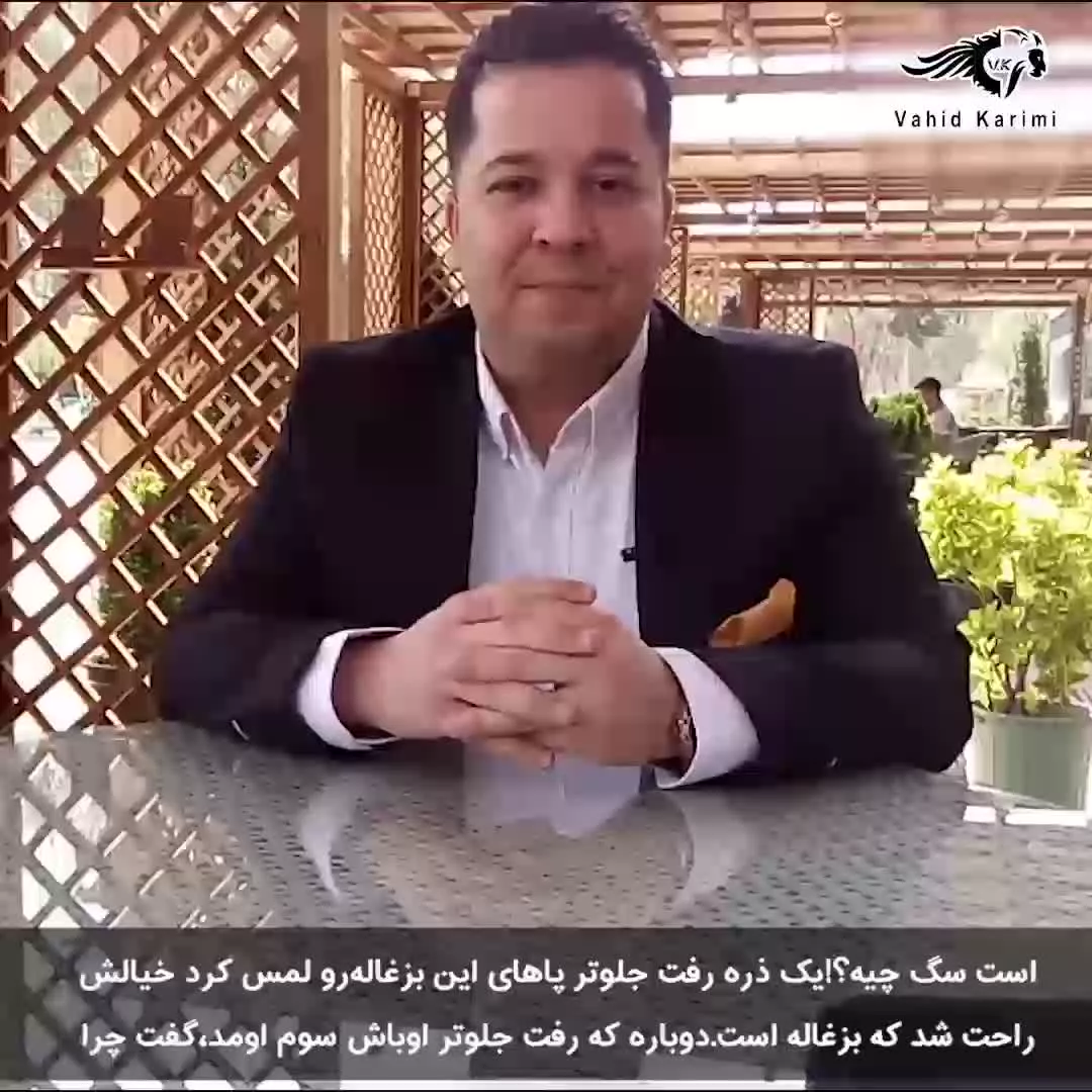 بزغاله و سگ