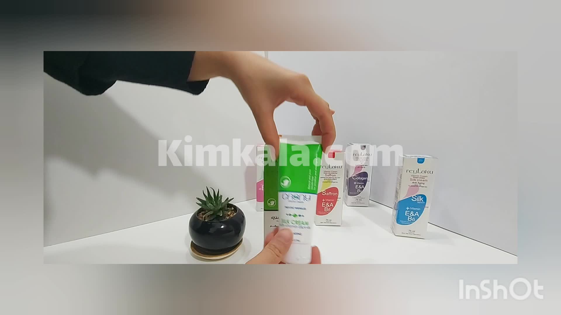 کرم ابریشم کاسنی/09120750932/
