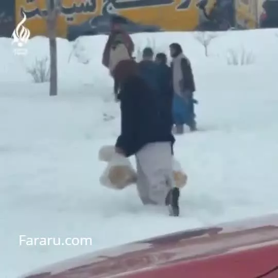 برف بازی هم جرم شد ؛ دو زوج دستیگیر شدند