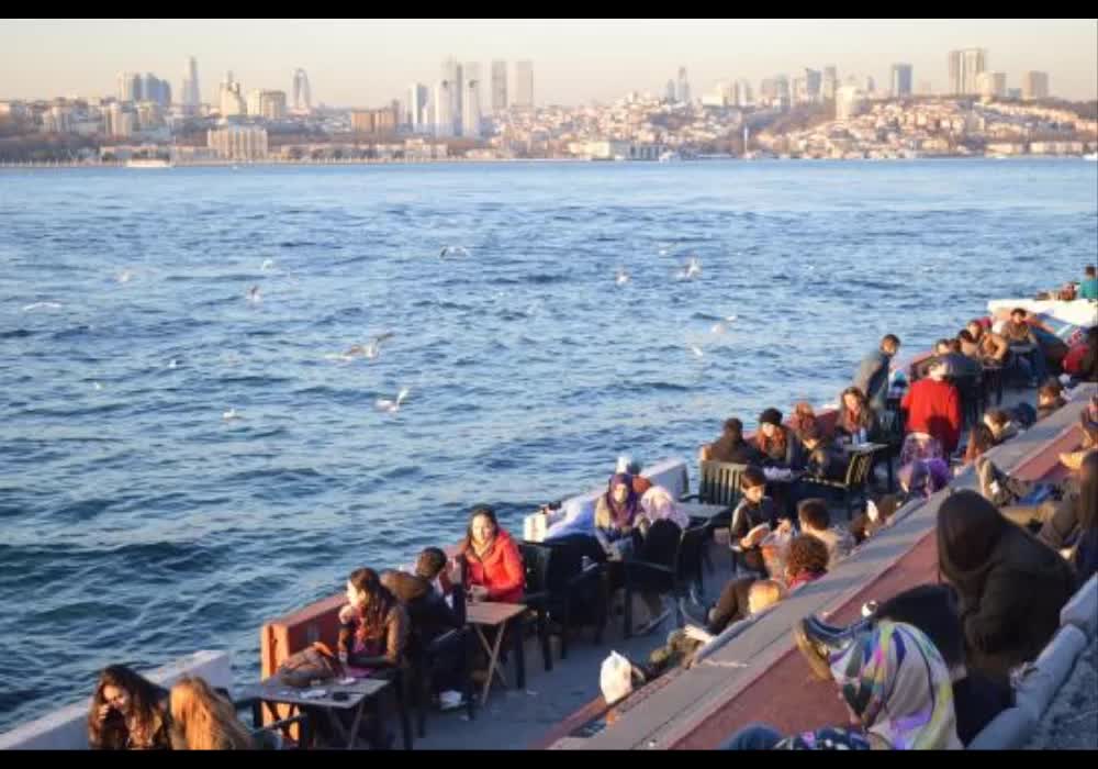 به نظر شما چه توری برای سفرمان انتخاب کنیم؟