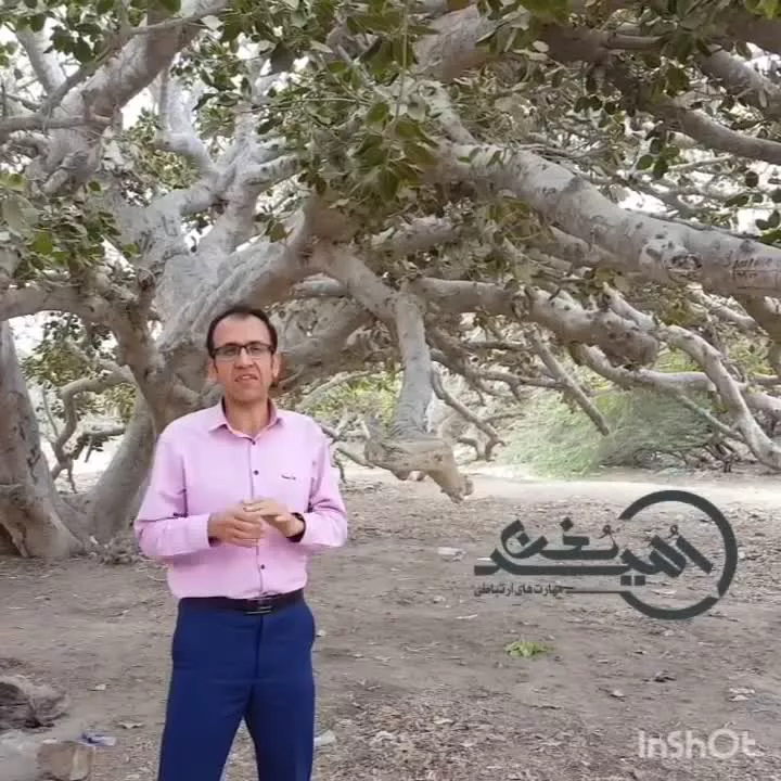 سید امید مهارت ارتباطی