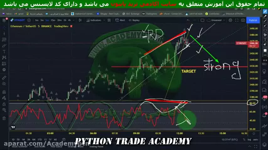 42.استراتژی پرایس اکشن با ابراسیلاتورسفارشی ویژه انواع ارزهای دیجیتال در مارکت(42)