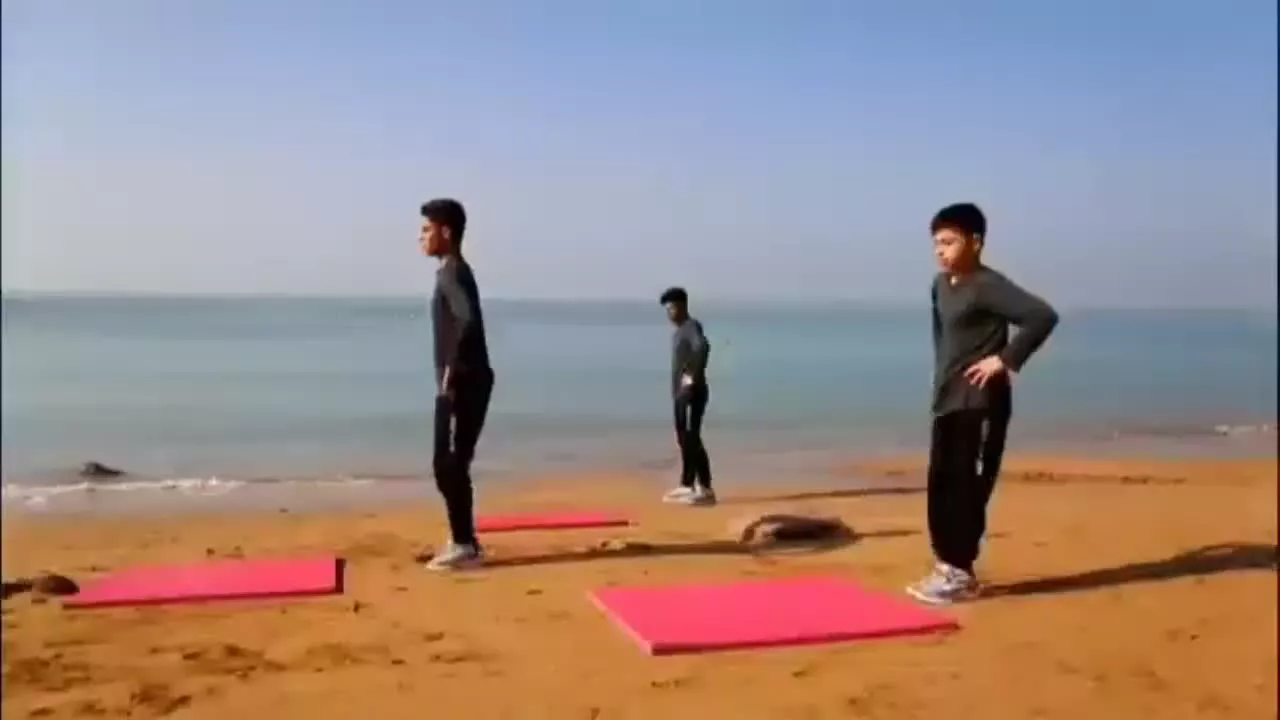 ورزشی