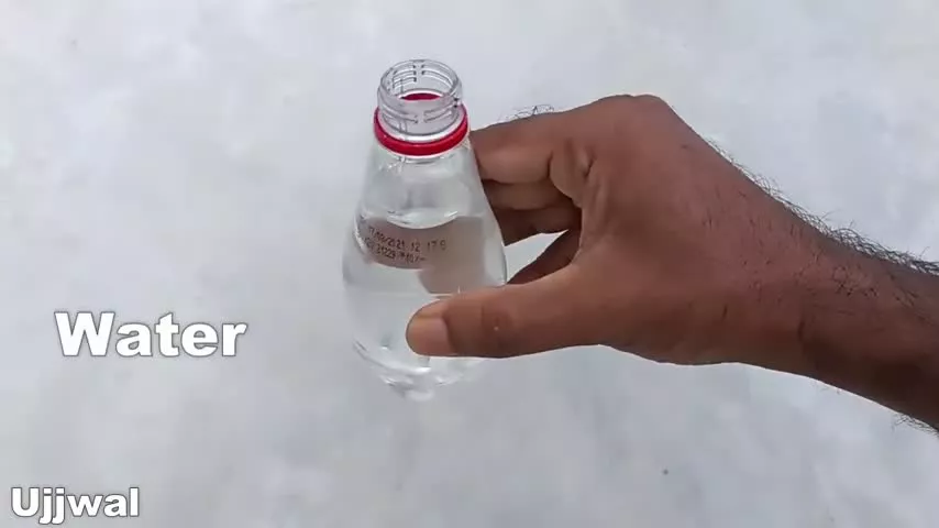 آموزش پرورش گل رز برش داده شده در بطری آب