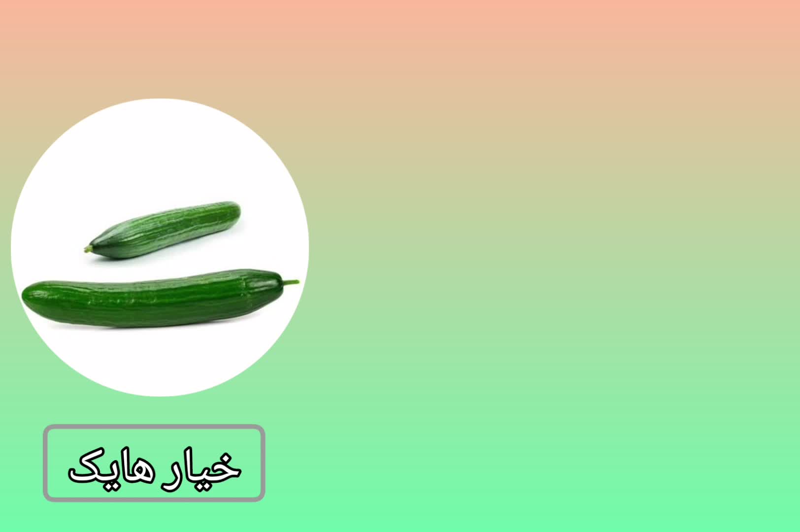 فروش بذر خیار هایک