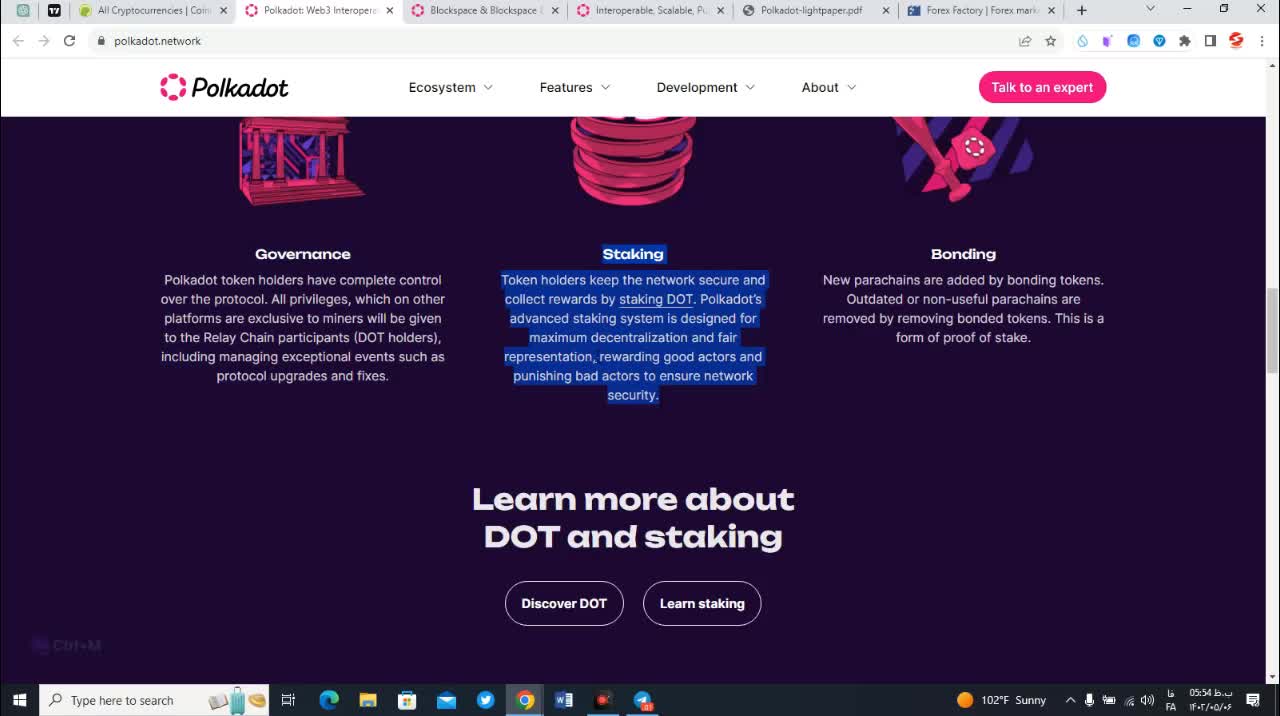 بررسی پروژه پولکادات (Dot) قسمت اول