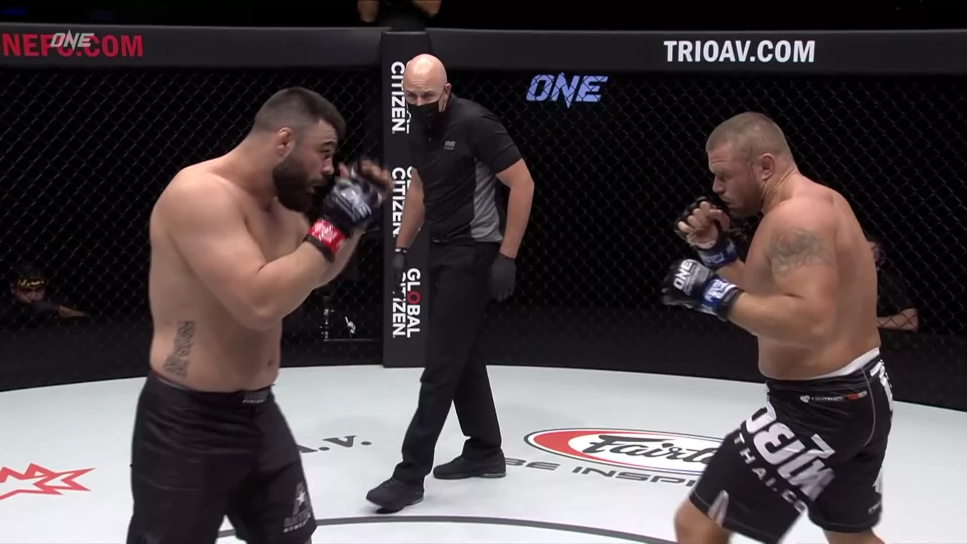 مبارزه علی اکبری مقابل آناتولی مالیخین | مبارزه MMA 💪