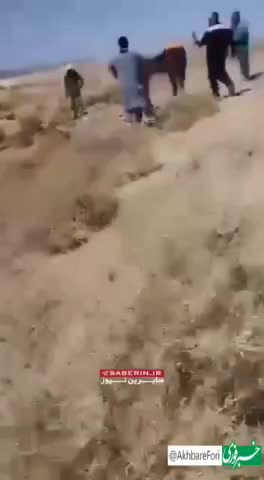   تصاویری از تیراندازی اشرار مسلح به مأموران انتظامی در خاش