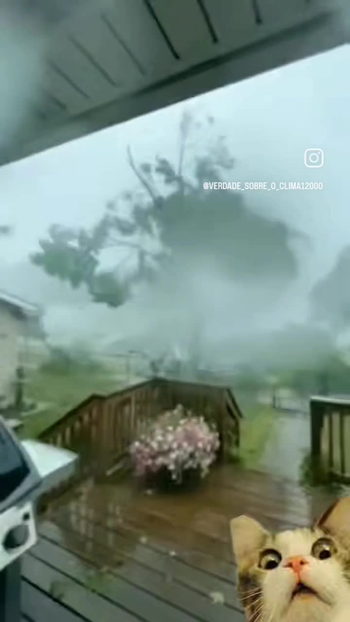   تصاویری شوکه‌کننده از طوفان میلتون در آمریکا