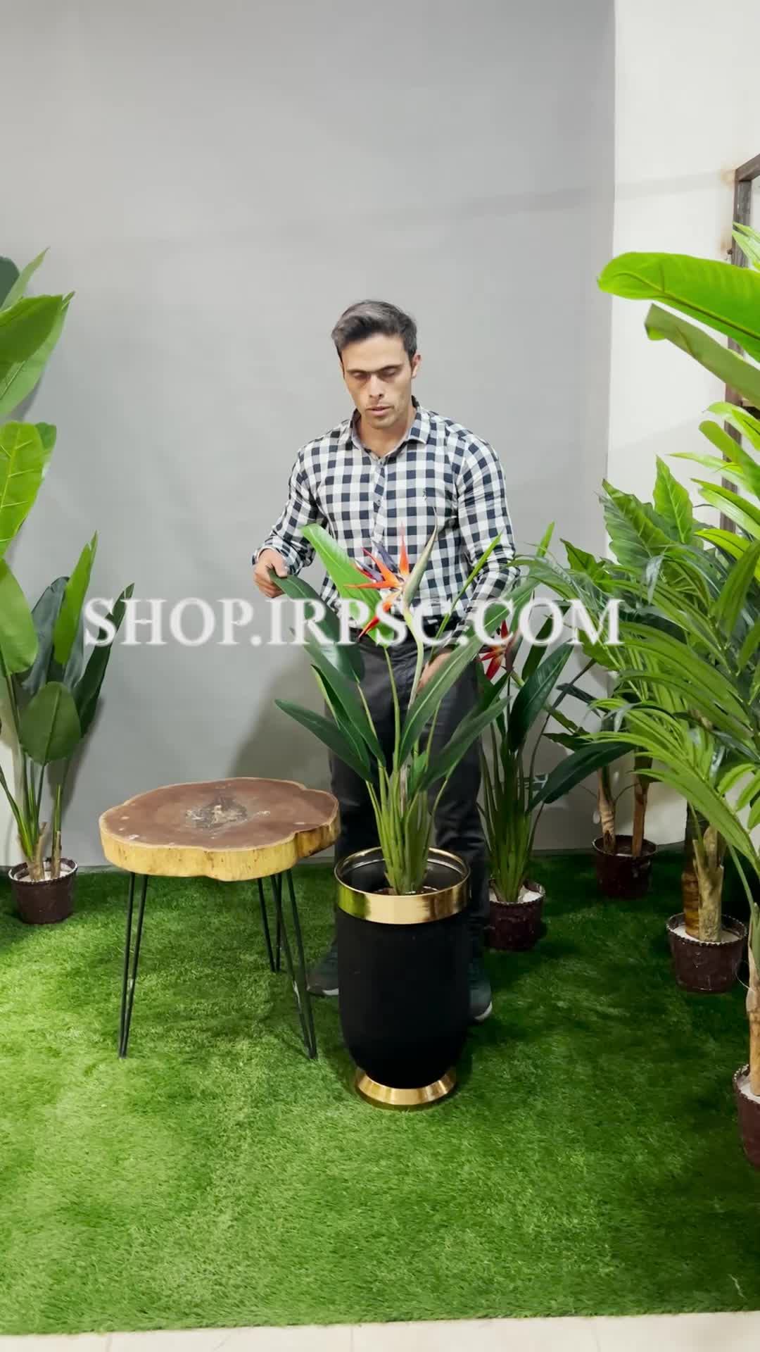 انواع درختچه مصنوعی استرزیا 10 برگ | فروشگاه ملی