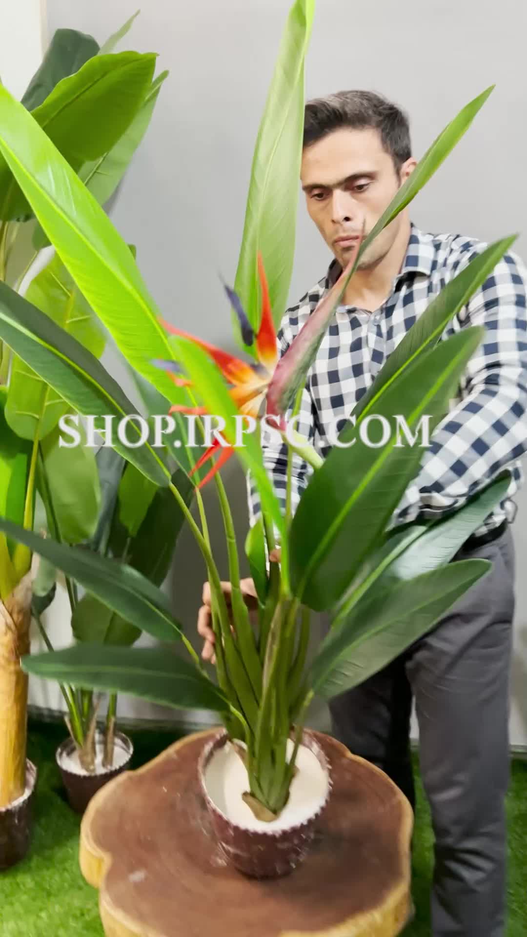 انواع درختچه مصنوعی استرزیا 12 برگ درجه یک| فروشگاه ملی