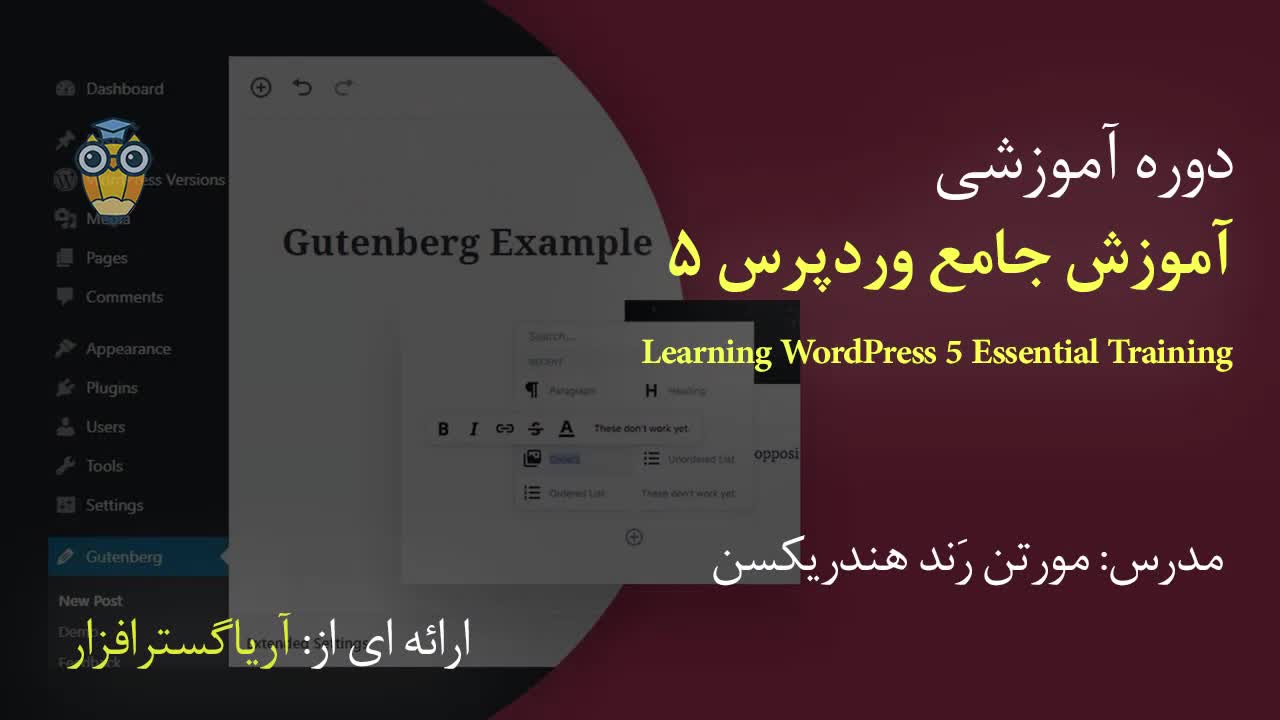آموزش فارسی جامع وردپرس Wordpress - آریاگستر