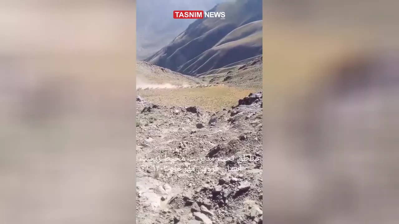   مشاهده گله بز وحشی در مناطق حفاظت‌شده قزوین