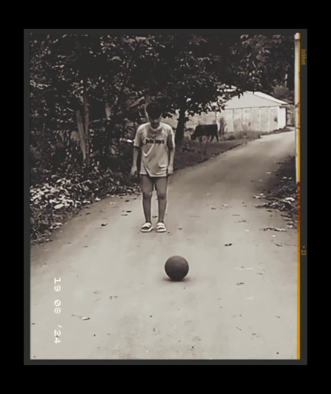 ویدیو حسام سروری