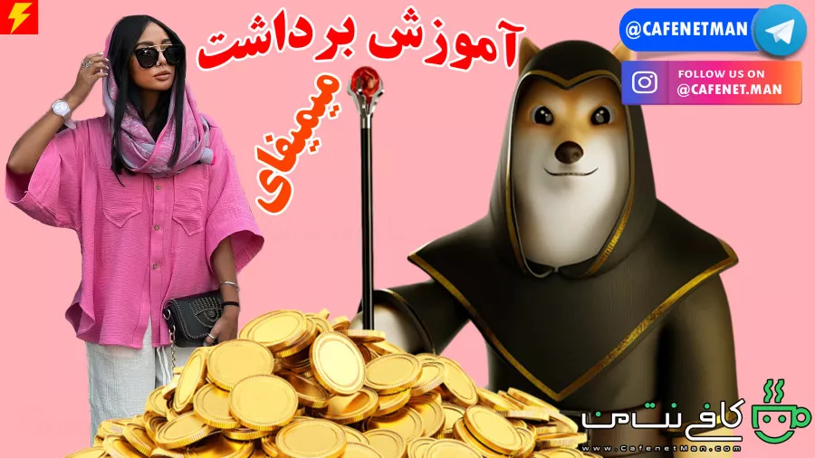 چگونه میمیفای رو برداشت و به تراست ولت انتقال دهیم؟