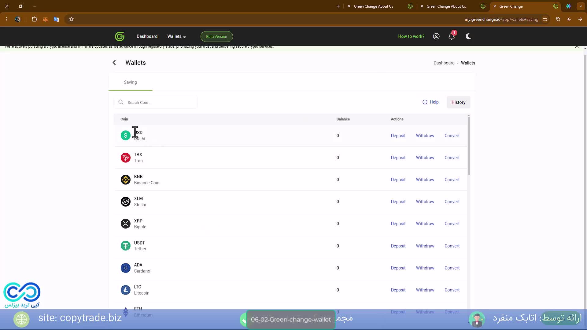 کیف پول گرین چنج راهنمای استفاده از ولت های «greenchange»
