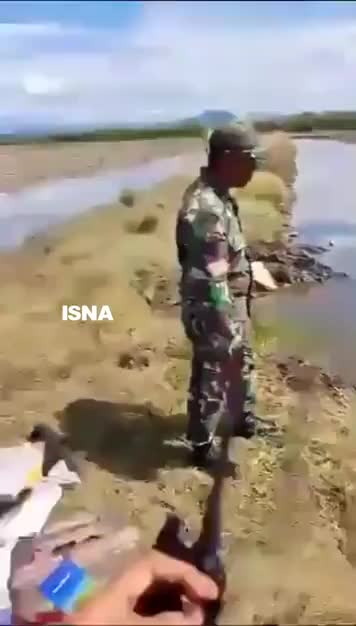   اولین فیلم از سقوط هواپیما در اندونزی؛ تمام سرنشینان کشته شدند