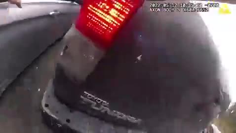   لحظه شلیک و قتل مظنون فراری توسط پلیس؛ نتیجه تلخ در پایان تعقیب و گریز!