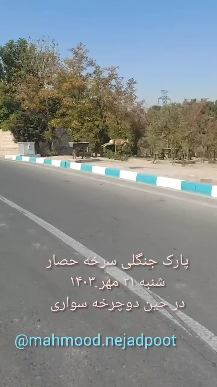   فیلم لحظه عبور یک گله آهو از پارک سرخه حصار تهران