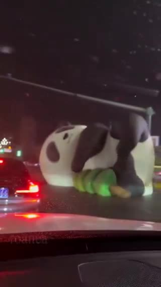   سقوط یک پاندای بزرگ وسط خیابان‌های شهر چین