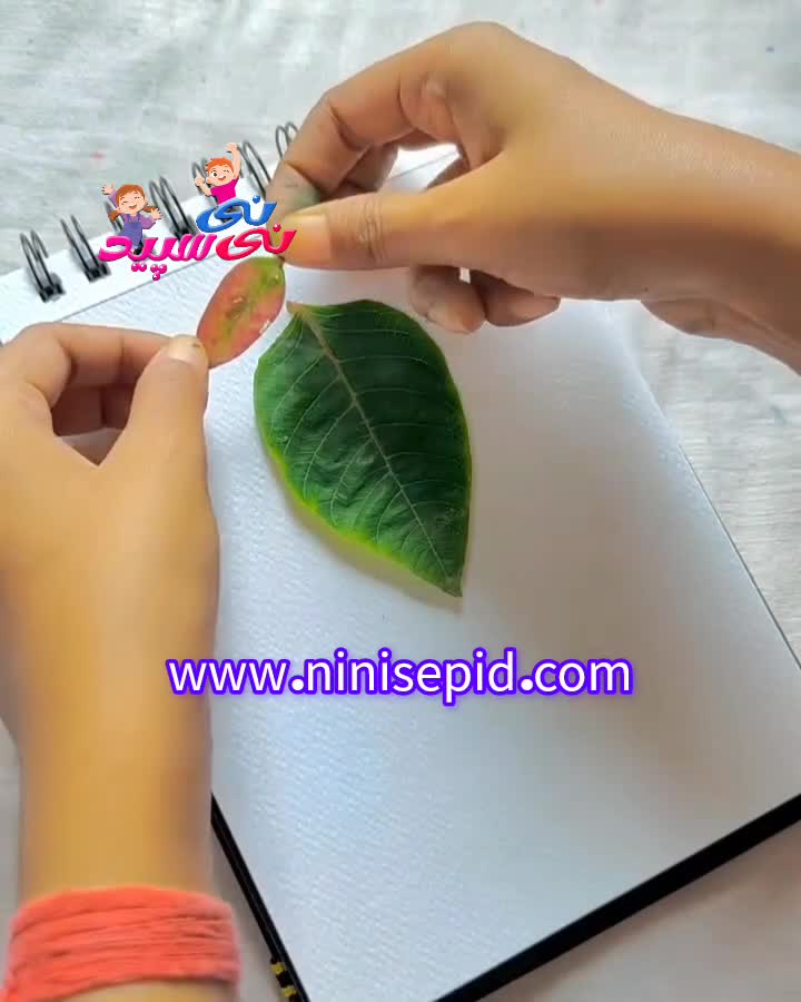 نقاشی طوطی با برگ درخت