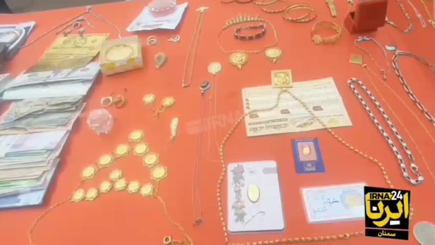   سارقان چگونه از خانه خود محافظت می‌کنند؟